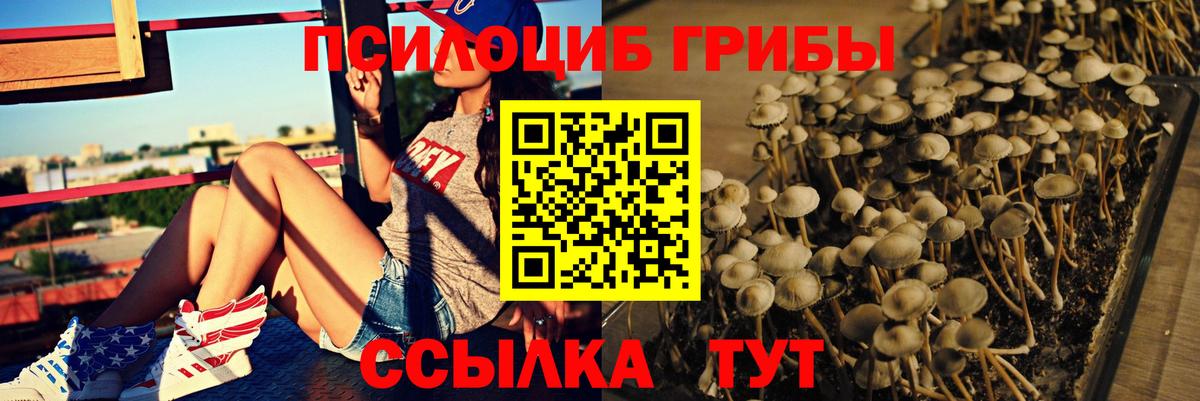 Псилоцибиновые грибы Cubensis  Вход с VPN  Галлюциногенные грибы Magic Shrooms  Когалым 