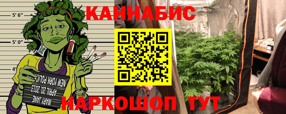 Бошки марихуана VHQ  Канабис гибрид  Каннабис сатива  Вход с VPN  Когалым  Конопля марихуана 
